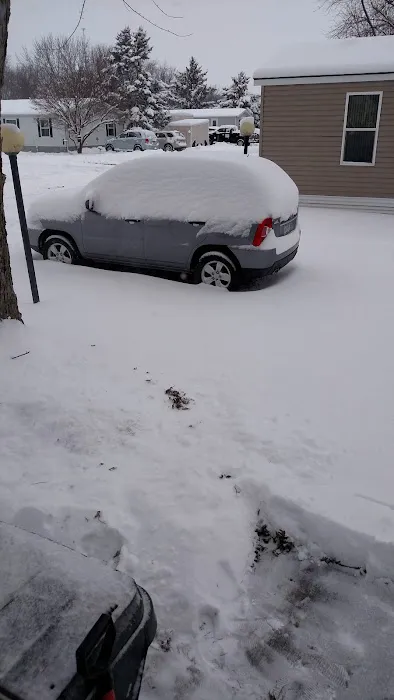 Royal Court Picture 3