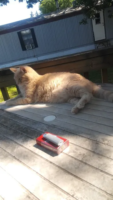 Royal Court Picture 1