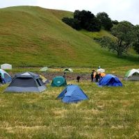 Maud Whalen Group Campsite ico