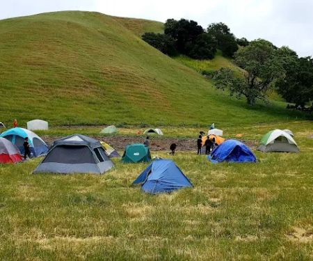 Maud Whalen Group Campsite