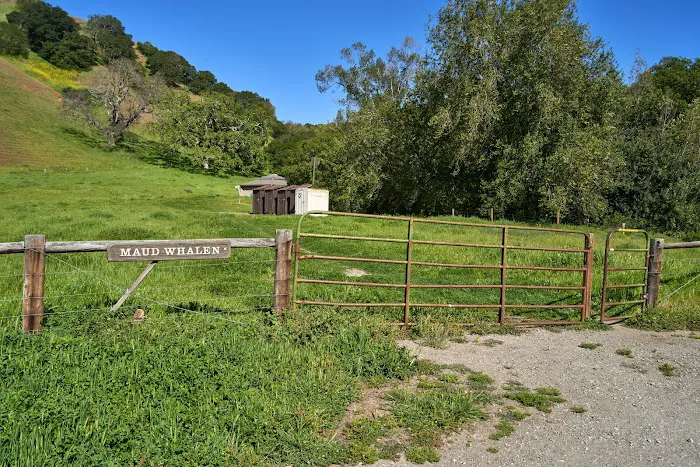 Maud Whalen Group Campsite Picture 3
