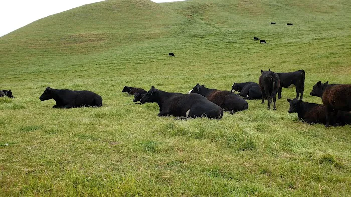Maud Whalen Group Campsite Picture 2