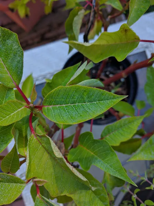 Grandview Mobile Home Park Picture 1