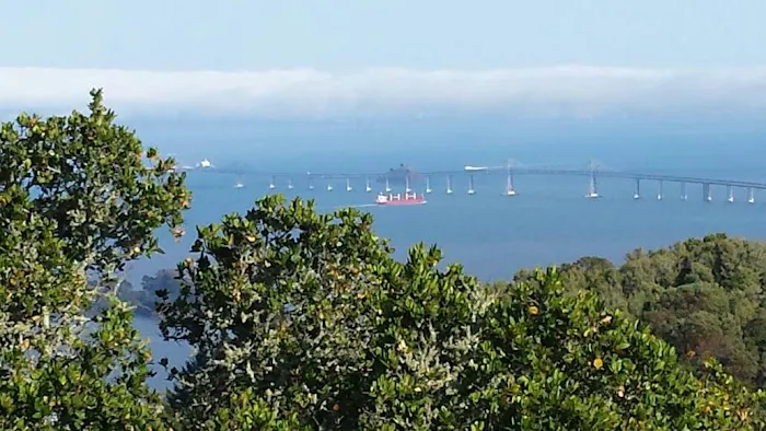 China Camp Campsite Picture 4