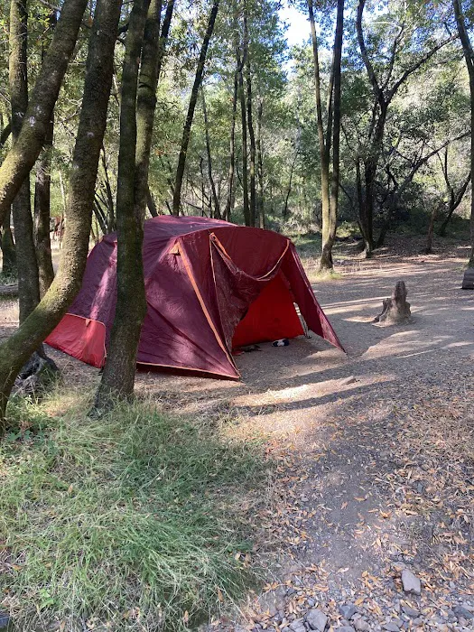 China Camp Campsite Picture 1
