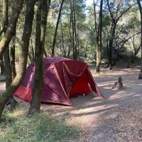 China Camp Campsite ico