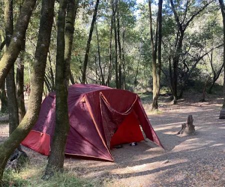 China Camp Campsite
