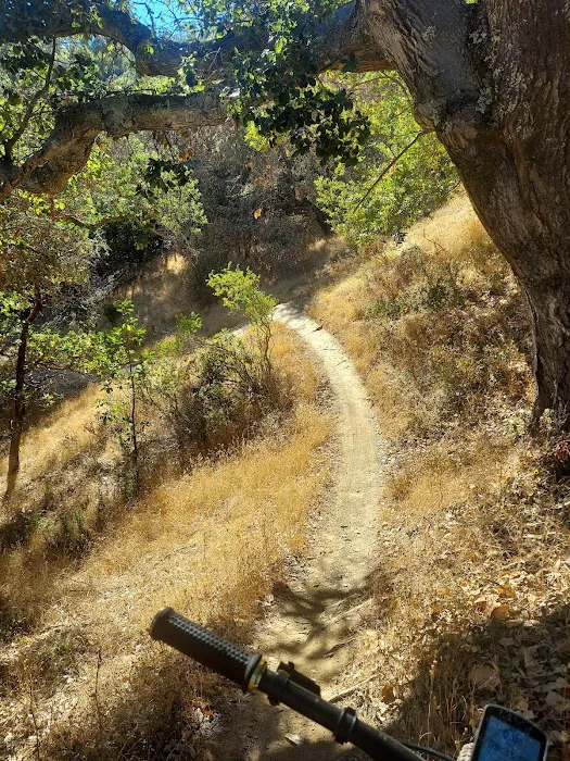 China Camp Campsite Picture 5