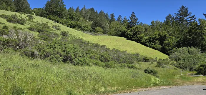 Devil's Gulch Campsite Picture 1