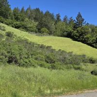 Devil's Gulch Campsite ico