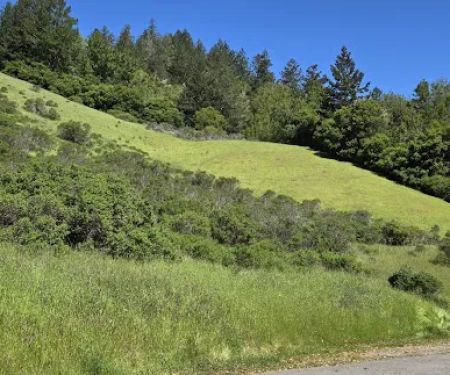 Devil's Gulch Campsite