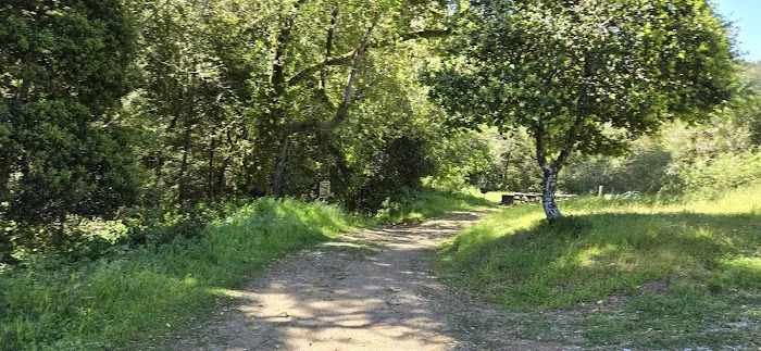 Devil's Gulch Campsite Picture 2
