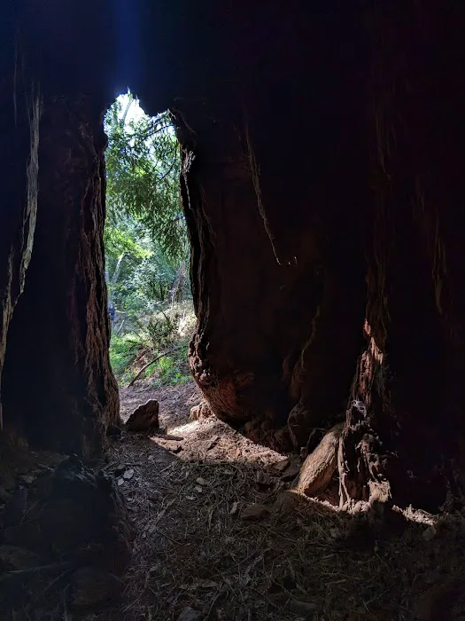Devil's Gulch Campsite Picture 6
