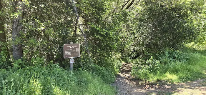 Devil's Gulch Campsite Picture 10
