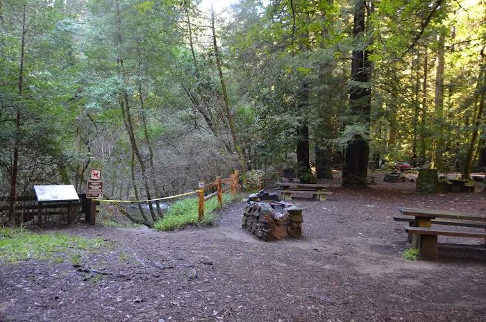 Madrone Group Area Campground Picture 1