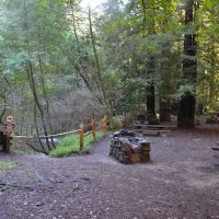 Madrone Group Area Campground ico