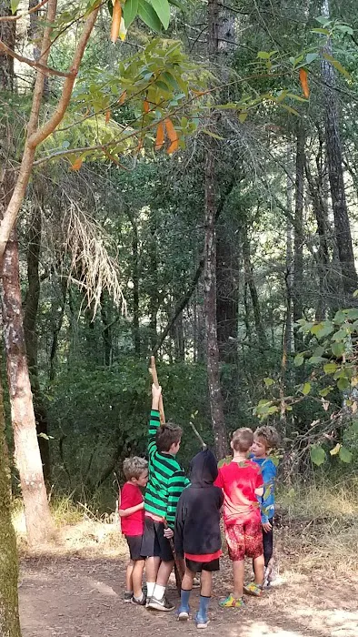Madrone Group Area Campground Picture 6