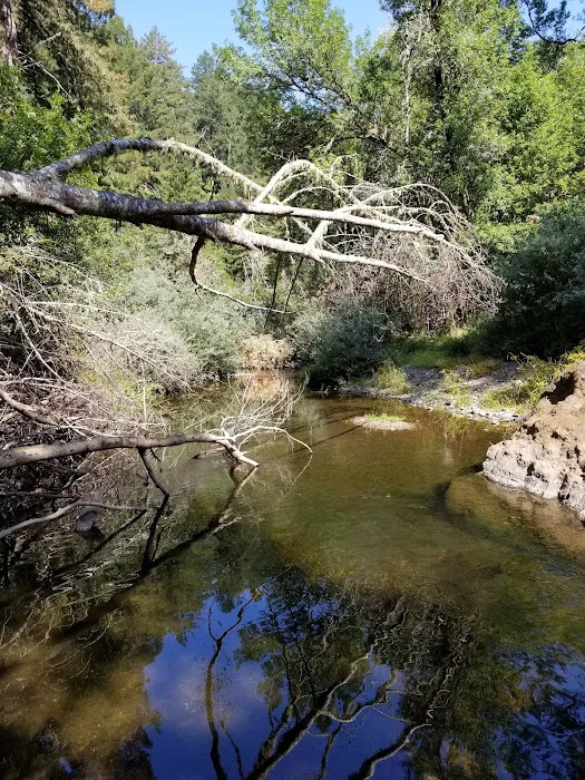 Madrone Group Area Campground Picture 5
