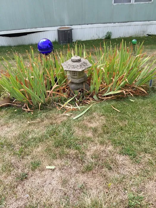 Colonial Terrace Picture 6