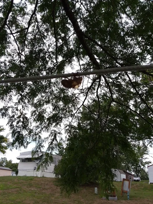 Colonial Terrace Picture 9