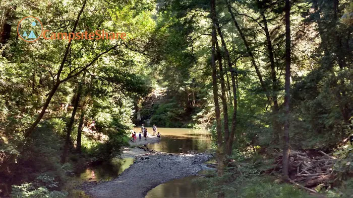 Camp Taylor Picture 9