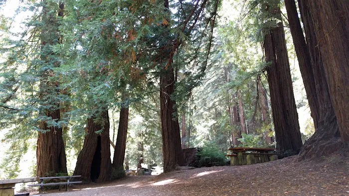 Camp Taylor Picture 7