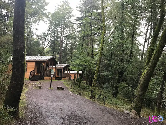 Madrone Cabin Area Picture 6