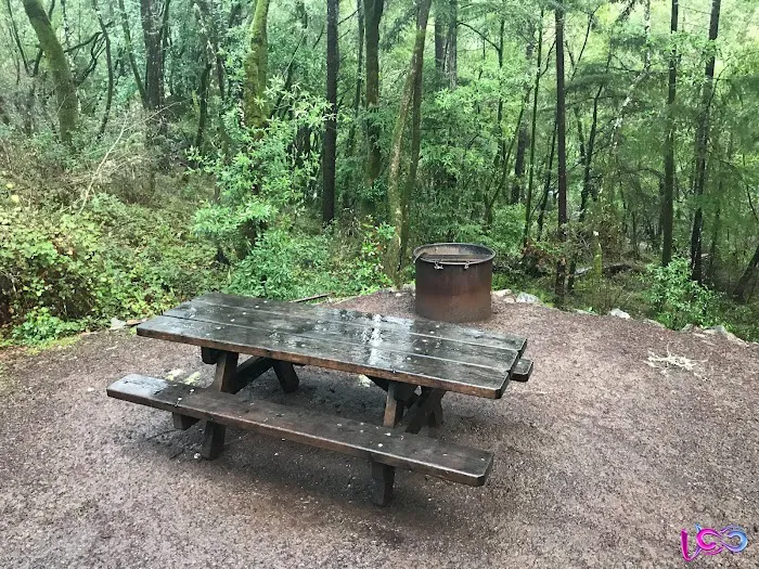 Madrone Cabin Area Picture 5