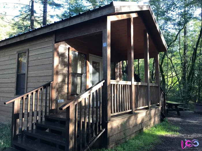 Madrone Cabin Area Picture 9