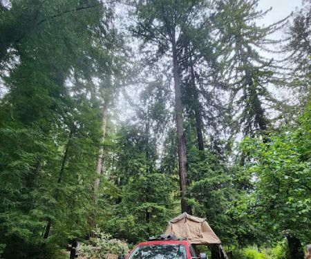 Creekside Loop Campground