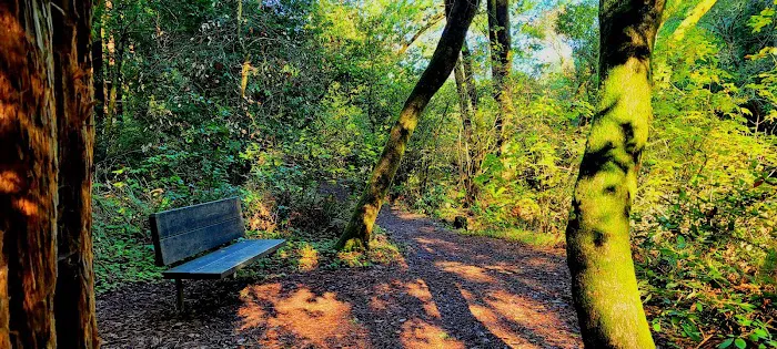 Orchard Hill Loop Picture 6