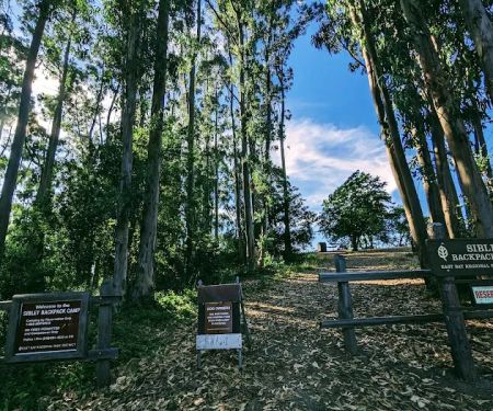 Sibley Backpack Camp