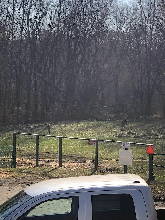 Eastwood Estates Mobile Home Park Picture 2