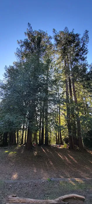 Oakland Pal Camp Picture 4