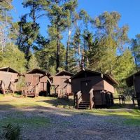 Oakland Pal Camp ico