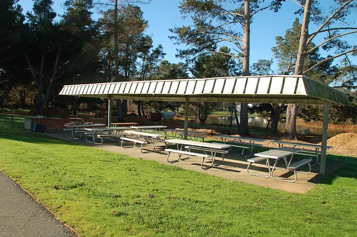 USCG TRACEN Petaluma Campground & RV Area Picture 9