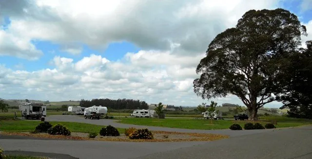 USCG TRACEN Petaluma Campground & RV Area Picture 4