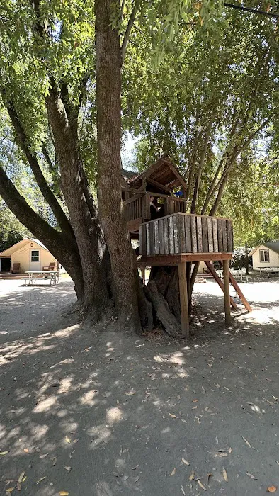 Hilton Park Family Campground Picture 2