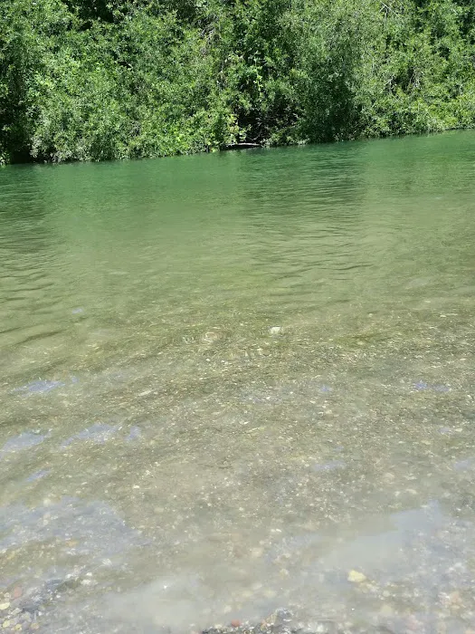 Hilton Park Family Campground Picture 6