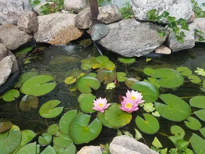 Rolling Hills Mobile Home Park Picture 2