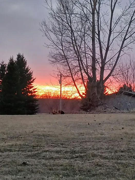 Rolling Hills Mobile Home Park Picture 6