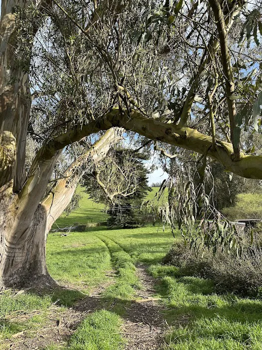 The Grove at Hands Full Farm Picture 3