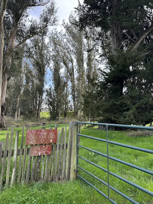 The Grove at Hands Full Farm Picture 6