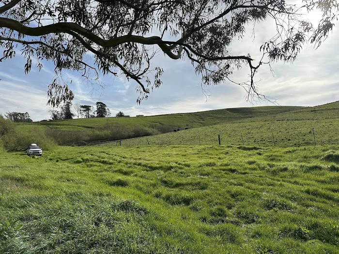 The Grove at Hands Full Farm Picture 5