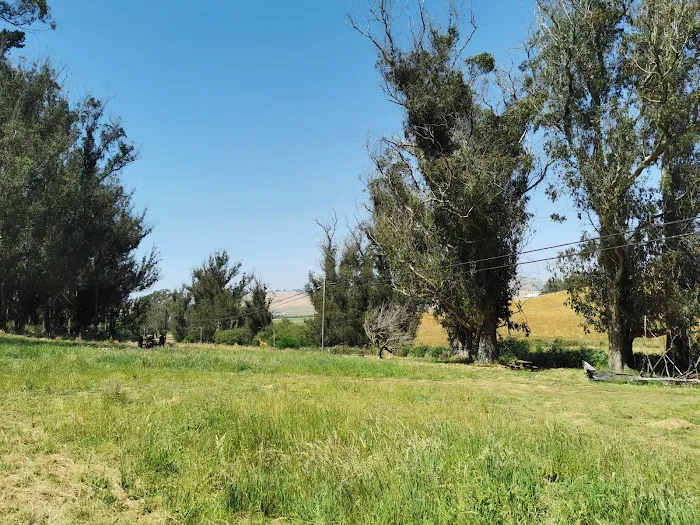 The Grove at Hands Full Farm Picture 4