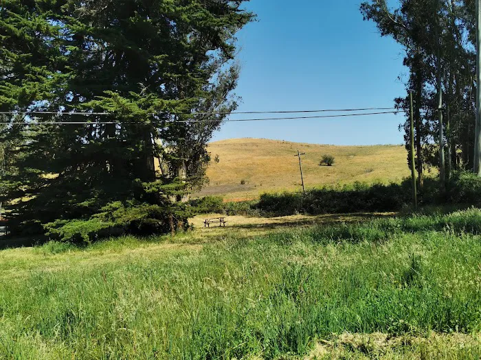 The Grove at Hands Full Farm Picture 2