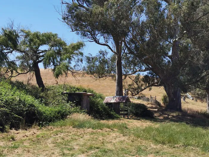 The Grove at Hands Full Farm Picture 1