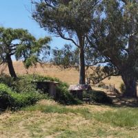 The Grove at Hands Full Farm ico