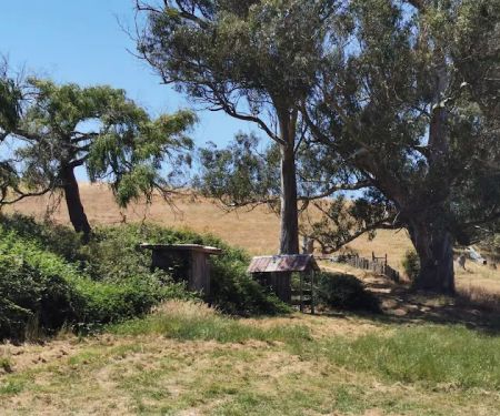 The Grove at Hands Full Farm