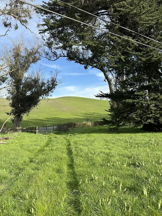 The Grove at Hands Full Farm Picture 7